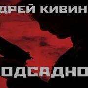 Андрей Константинов Аудиокнига Журналист