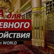 Восстановить Нервы Успокоить Нервы Сильный Дуа Аллах Поможет