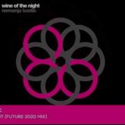 Nemanja Kostic Wine Of The Night Future 2020 Mix