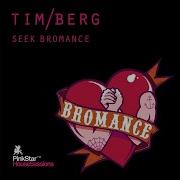 Seek Bromance Avicii Vocal Extended Tim Berg