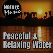 Spring Minuet Natural Relaxation Of Flowing Water Nature Music