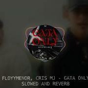 Floyymenor X Cris Mj Gata Only Slowed And Reverb Version Oficial Wizasong
