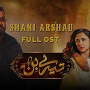 Tere Bin Ost 2022 Shani Arshad New Song Released Shani Arshad