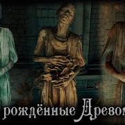 Древо Эрд Порождавшее Людей Elden Ring Lore Ответ Ashking У