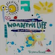 Wonderful Life Kryders Guilty