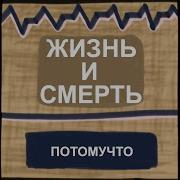 Песня Знала Что Я Бродяга Потомучто И Выбрала Меня Рочи Батаническом Саду