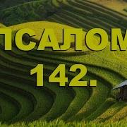 Псалом 142 40 Раз