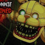 Pit Bonnie