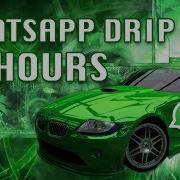Whatsapp Car Drip