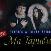 Forever Melek Asman Ма Гарибм