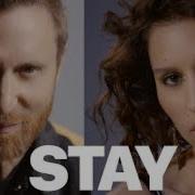 Stay David Guetta