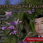 Насихат Кушиклар Туплами