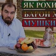 8 Як Рохи Хали Ъоли Барои Хали Мушкилот Суфраи Ифтор