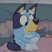 Bluey Crying